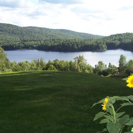 Hummingbird Hill Bed & Breakfast Stoddard Luaran gambar