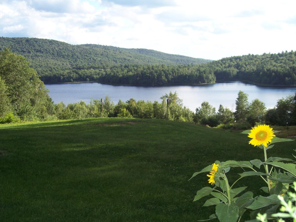 Hummingbird Hill Bed & Breakfast Stoddard Luaran gambar